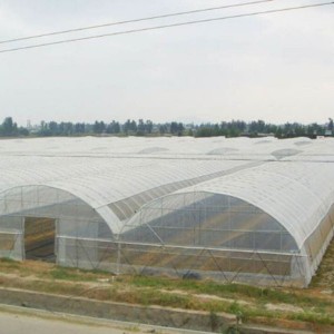 春秋大棚