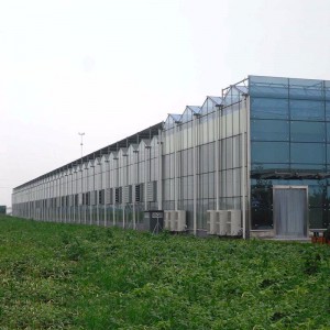 玻璃智能溫室廠家 廠家直銷 品質保證 山東玻璃智能溫室