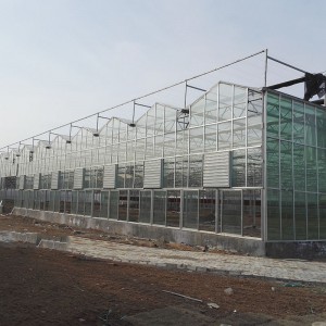 休閑觀光溫室廠家 質量保證 山東廠家 山東休閑觀光溫室