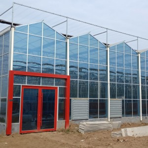 休閑觀光溫室廠家 質量保證 山東廠家 山東休閑觀光溫室