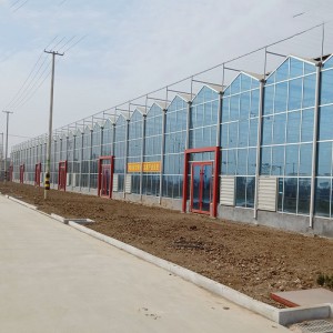 休閑觀光溫室廠家 質量保證 山東廠家 山東休閑觀光溫室