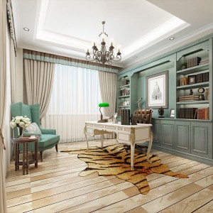 圣蒂歐定制家居 輕奢書(shū)柜定制 品牌工廠生產(chǎn)