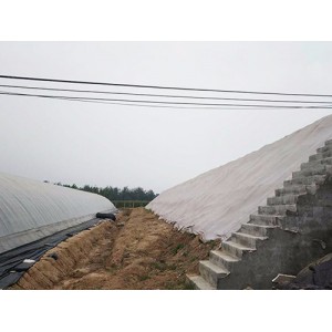 山東蔬菜大棚建設(shè)