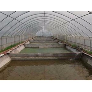山東養殖溫室大棚