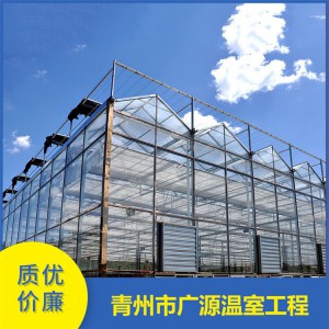 玻璃大棚造價 玻璃智能溫室大棚造價