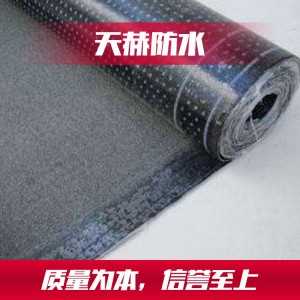 山東改性瀝青防水卷材生產(chǎn)廠家 濰坊天赫防水 廠家長(zhǎng)期供貨