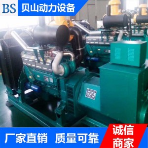 濰柴200千瓦發(fā)電機(jī)組 柴油發(fā)電機(jī)組生產(chǎn)廠(chǎng)家