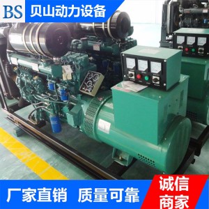 濰柴200千瓦發(fā)電機(jī)組 柴油發(fā)電機(jī)組生產(chǎn)廠(chǎng)家