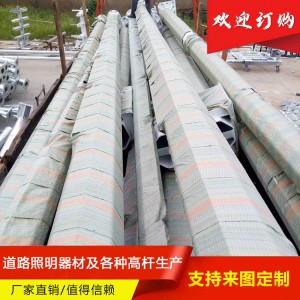 監控桿 監控桿價格 監控桿批發 監控桿廠家