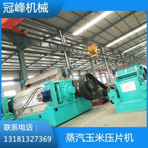 蒸汽玉米壓片機(jī)  壓片機(jī)廠家