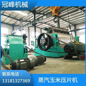 蒸汽玉米壓片機(jī)  壓片機(jī)廠家