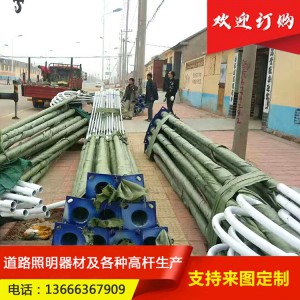 戶外6米7米8米海螺臂高桿燈 道路路燈桿 A字臂路燈桿加工定制