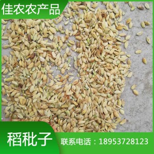 山東稻秕子 癟稻 稻殼谷秕子 癟谷批發(fā)