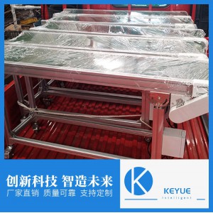 山東皮帶輸送線 生產(chǎn)廠家 支持定制