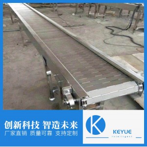 廠家直供 板鏈輸送線生產廠家 山東板鏈輸送線