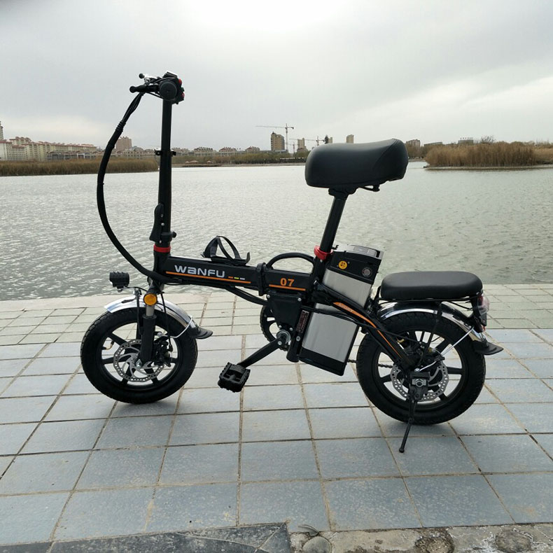 2021新款國標小型電動車鋰電池代步車 成人便攜小型電動車 廠家可加工定制