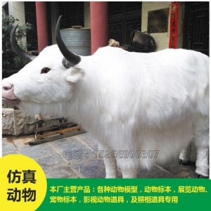 價(jià)格低廉 住址牦牛模型 批發(fā)
