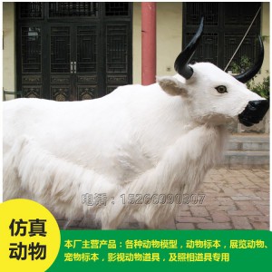 價(jià)格低廉 住址牦牛模型 批發(fā)