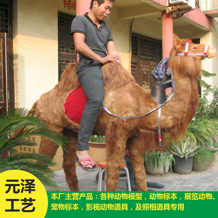 高仿真駱駝銷售 造型逼真駱駝 廠家直銷