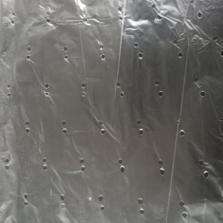 耐高溫食品塑料袋 塑料食品袋生產(chǎn) 支持定制