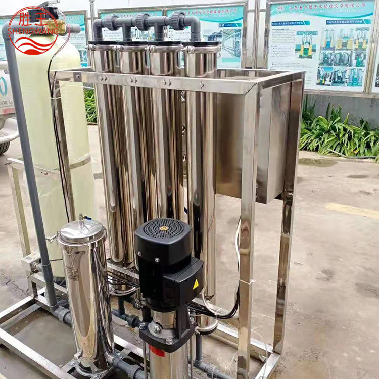 現(xiàn)貨供應高效全自動RO反滲透設備 反滲透凈水設備 山東勝王