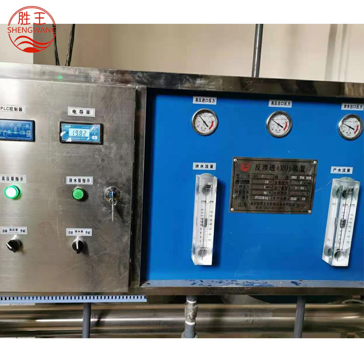 山東勝王3T/H反滲透設備 雙級 廠家直銷 規格可定制