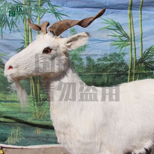 仿真山羊 仿真動物模型廠家供應 廠家直銷 仿真動物 逼真仿真動物