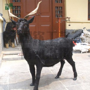 仿真山羊 仿真動物模型廠家供應 廠家直銷 仿真動物 逼真仿真動物