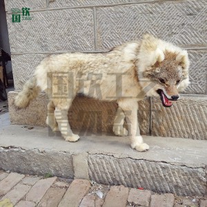 廠(chǎng)家直銷(xiāo)仿真狼 動(dòng)物擺件 模型道具標(biāo)本 純手工精細(xì)雕塑制作