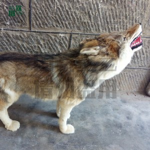 仿真皮毛動物加工 仿真狼 動物生態場館 博物館 影視道具用標本