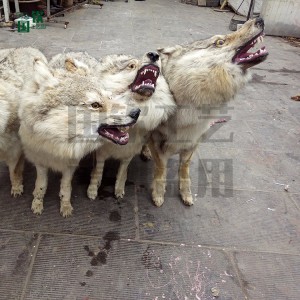 仿真皮毛動物加工 仿真狼 動物生態場館 博物館 影視道具用標本