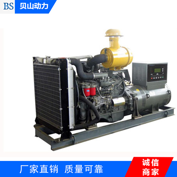 專業(yè)生產(chǎn)銷售250KW發(fā)電機(jī)組 濰柴發(fā)電機(jī)組 原廠正品 免費(fèi)上門(mén)安裝
