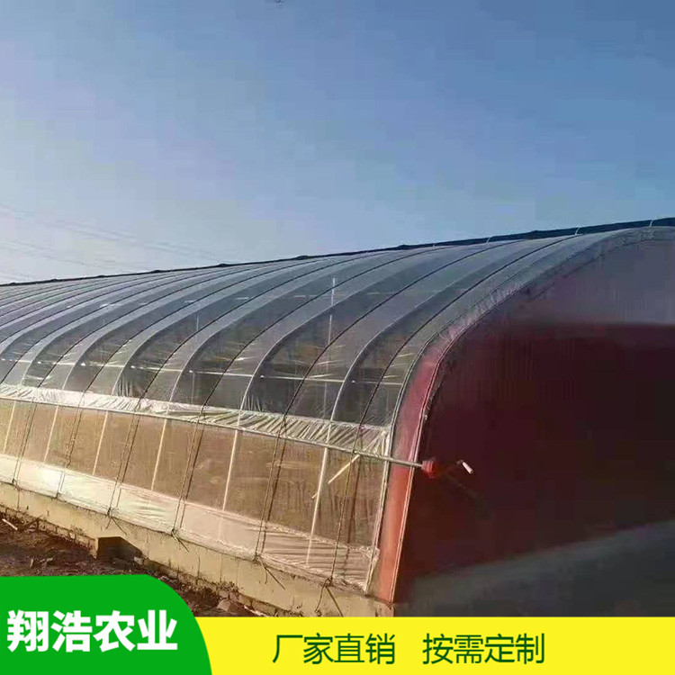 山西育苗單體拱棚 蔬菜薄膜拱形溫室 簡易單體拱棚溫室大棚定制