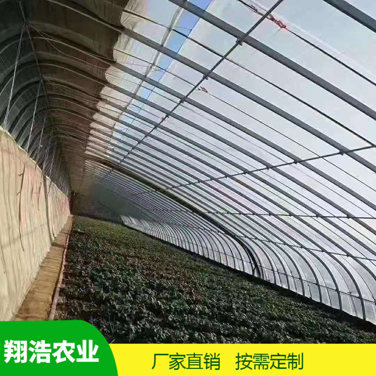 山西育苗單體拱棚 蔬菜薄膜拱形溫室 簡易單體拱棚溫室大棚定制