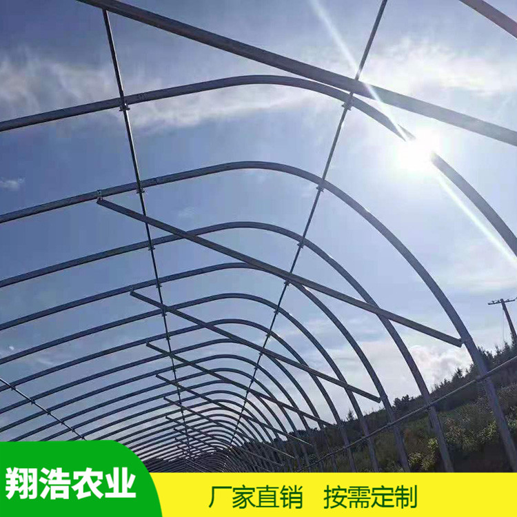 山西育苗單體拱棚 熱鍍鋅橢圓管拱棚 簡(jiǎn)易單體拱棚溫室大棚定制