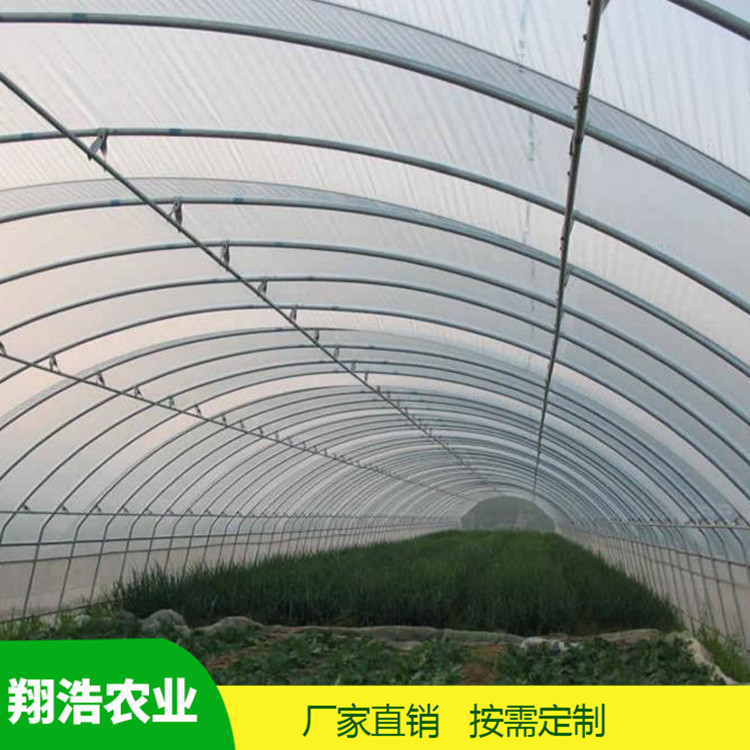 山西育苗單體拱棚 蔬菜薄膜拱形溫室 簡易單體拱棚溫室大棚定制
