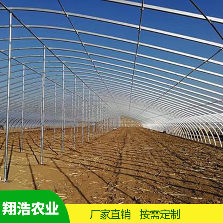 山西育苗單體拱棚 蔬菜薄膜拱形溫室 簡易單體拱棚溫室大棚定制