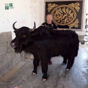 動物標本制作加工廠家 仿真牦牛模型定制