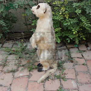 仿真貓鼬模型 仿真皮毛動物制作公司