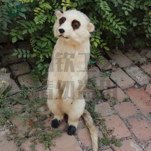 仿真貓鼬模型 仿真皮毛動物制作公司