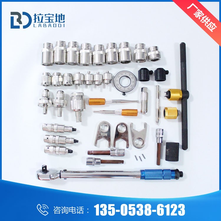 廠家供應(yīng)高壓共軌專(zhuān)用工具 共軌噴油器分解工具 共軌實(shí)驗(yàn)設(shè)備維修工具 配套器備工具
