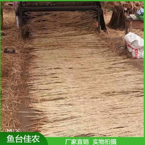 廠家直銷冬季保溫草苫子 養殖大棚草苫子 草簾子批發