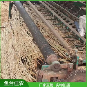 現貨供應冬季保溫草苫子 草苫子 綠化種草專用草苫子