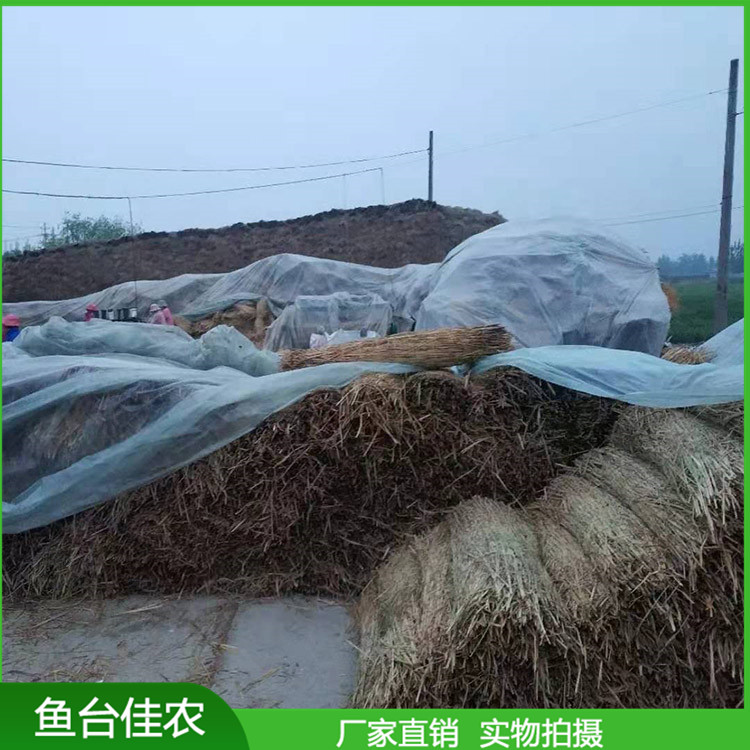 大棚保溫草苫子 稻草簾 防寒草簾子專業廠家加工定制