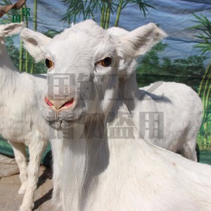 仿真山羊模型 奶山羊標本擺件 皮毛工藝品加工定制
