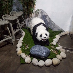 影視道具用標本 仿真熊貓模型加工定制