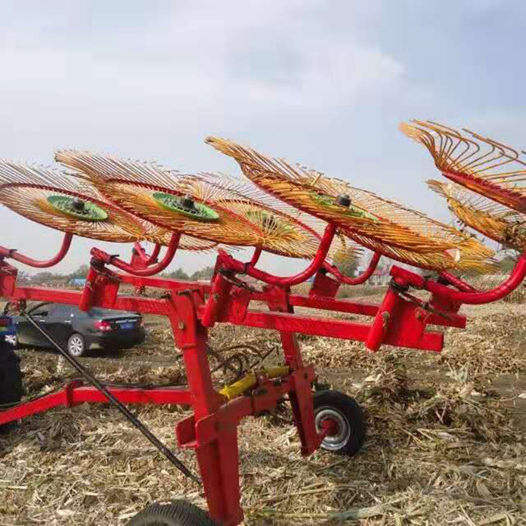 TF3.0型指盤式摟草機 農畜牧草摟草機供應 廠家生產