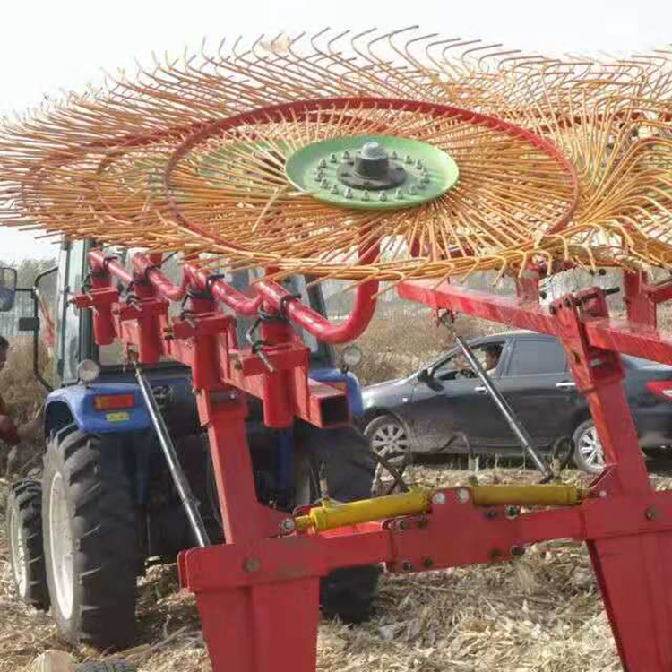 TF3.0型指盤(pán)式摟草機(jī) 農(nóng)畜牧草摟草機(jī)供應(yīng) 騰飛農(nóng)業(yè)機(jī)械