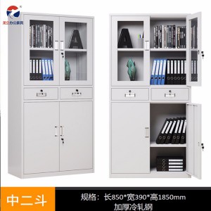龍立辦公文件柜 鐵皮資料柜 鋼制文件柜 商業辦公家具定制