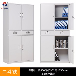 龍立辦公文件柜 鐵皮資料柜 鋼制文件柜 商業辦公家具定制